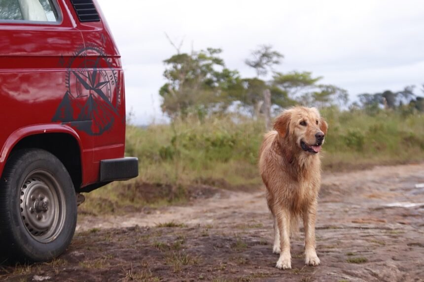 10 Must-Visit Locations for Van Lifers in Portugal: Adventure Awaits!