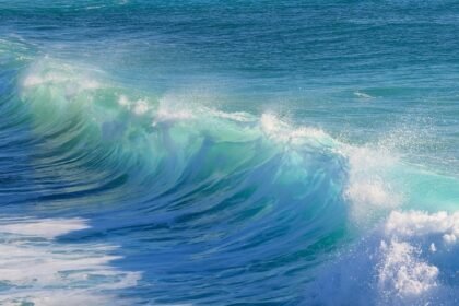 From Coast to Culture: The Heartbeat of Portuguese Surfing