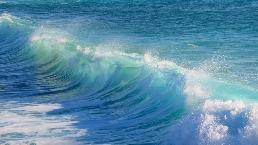 From Coast to Culture: The Heartbeat of Portuguese Surfing