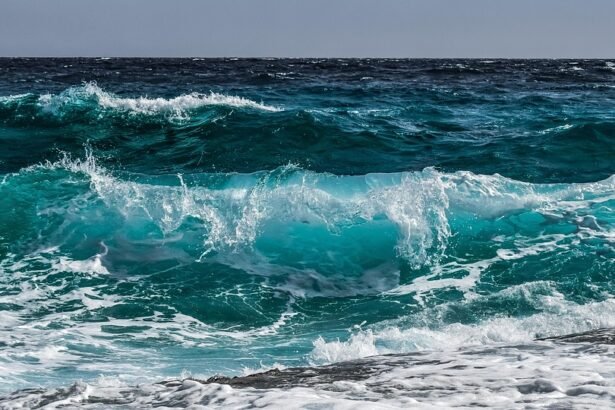 Waves of Change: The Evolution of Surf Culture in Portugal