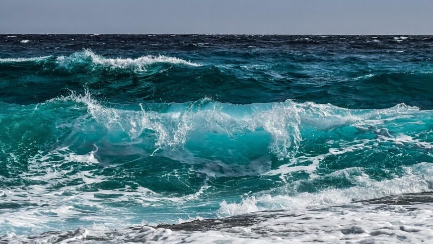 Waves of Change: The Evolution of Surf Culture in Portugal