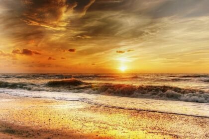Rest Days: The Secret Weapon of Successful Surfers