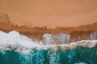 The Wave Whisperer: Insider Tips for Surfing Portugal Like a Local