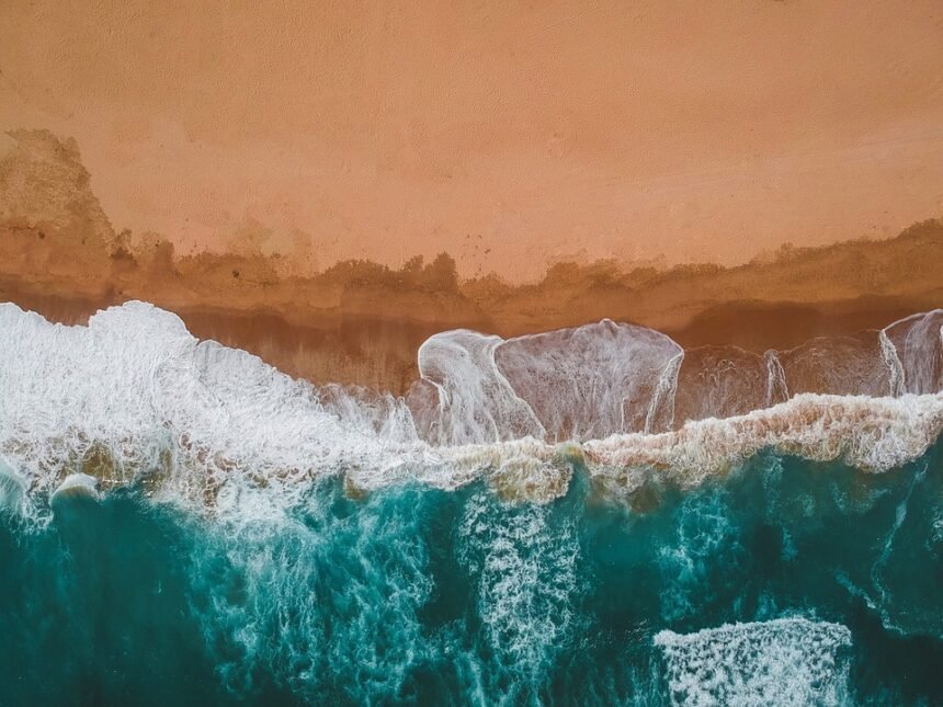 The Wave Whisperer: Insider Tips for Surfing Portugal Like a Local