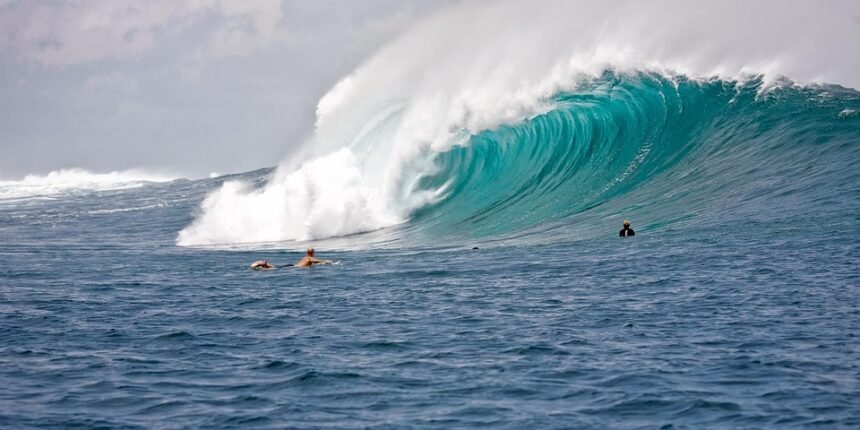 From Coast to Coast: The Influence of Portuguese Surf Legends