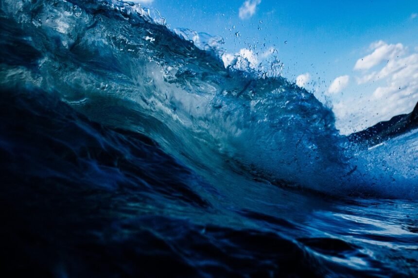 Surfing’s Best-Kept Secret: The Power of a Perfect Rest Day