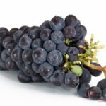 Portugal on a Plate: Exploring Nutritious Coastal Flavors