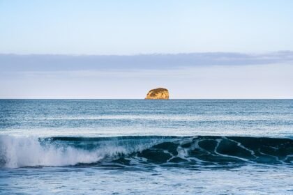 Gnarled Sea and Sun: Comprehensive Reviews of Portugal’s Surf Spots