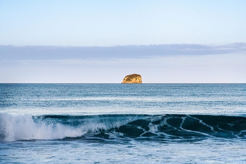 Gnarled Sea and Sun: Comprehensive Reviews of Portugal’s Surf Spots