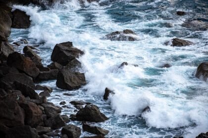 Wave Hello to Adventure: The Top Beginner Surfing Locations in Portugal