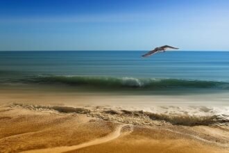 Surfing Portugal: A Comprehensive Guide to the Best Spots and Conditions