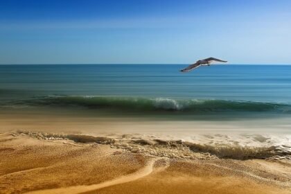 Surfing Portugal: A Comprehensive Guide to the Best Spots and Conditions