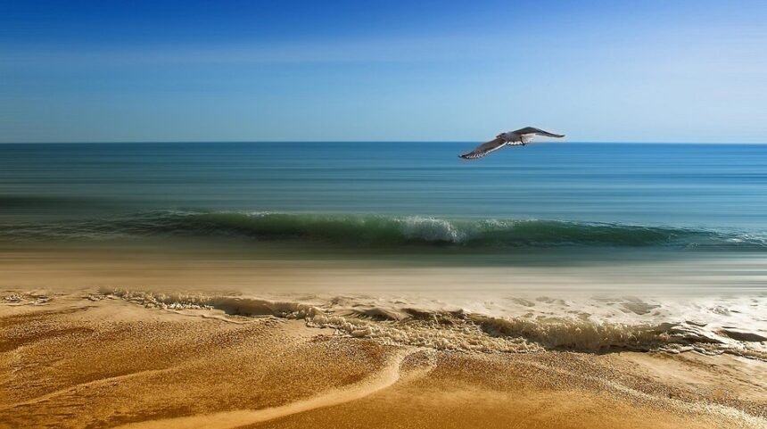 Surfing Portugal: A Comprehensive Guide to the Best Spots and Conditions