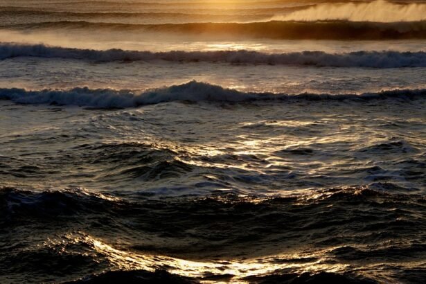 Sunny Shores and Gentle Waves: Beginner Surf Spots in Portugal