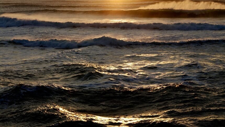 Sunny Shores and Gentle Waves: Beginner Surf Spots in Portugal