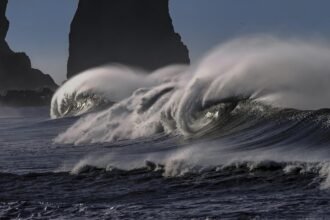 Surf’s Up! Top 5 Beginner-Friendly Beaches in Portugal