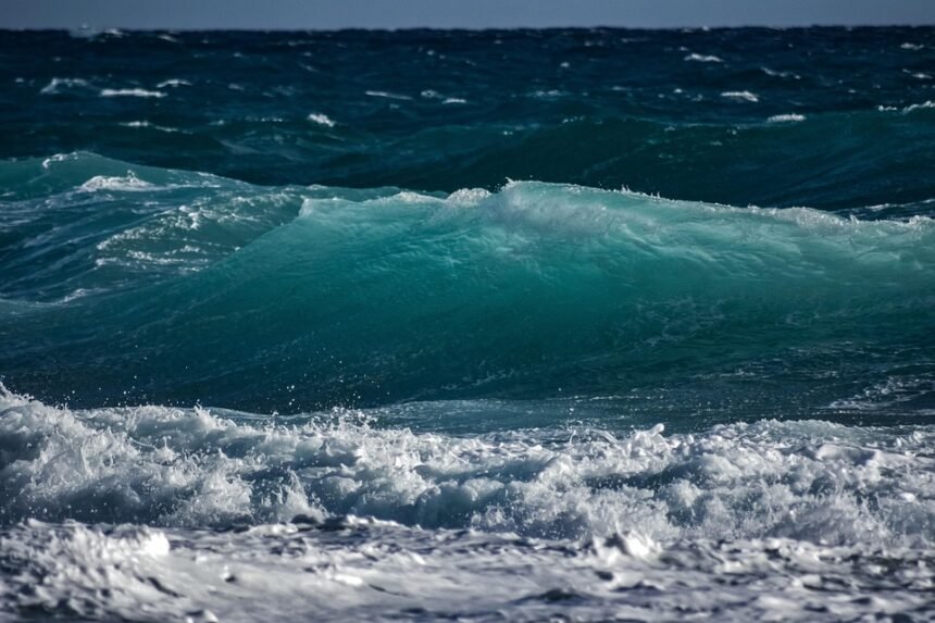 Beyond the Basics: How Portugal’s Surf Scene is Shaping Global Trends
