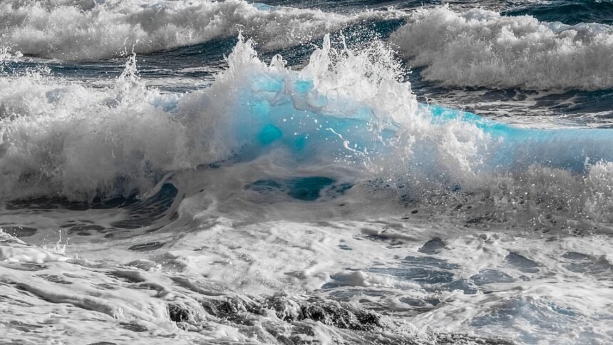 Catch Your First Wave: The Best Beginner Surf Spots in Portugal
