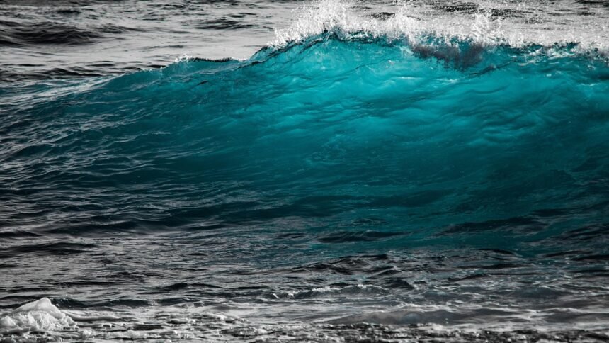Waves of Portugal: Discover the Best Surf Spots for Every Skill Level