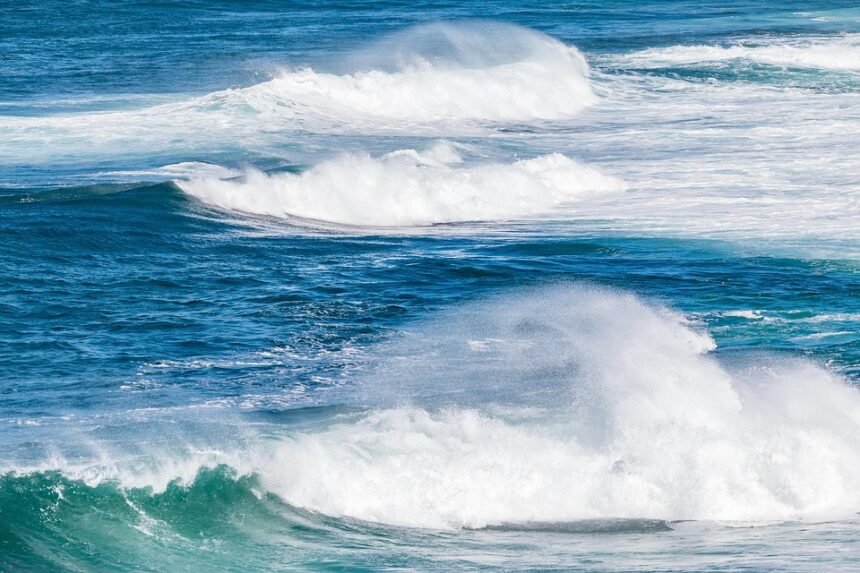 Catch the Wave: A Curated Review of Portugal’s Premier Surf Destinations