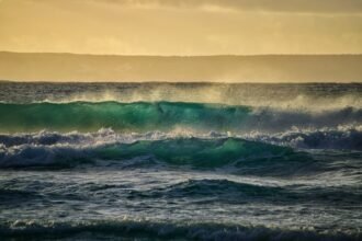 Surf, Sun, and Serenity: Explore Portugal’s Top Surfing Experiences