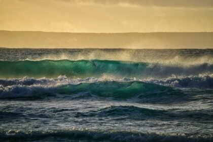 Surf, Sun, and Serenity: Explore Portugal’s Top Surfing Experiences